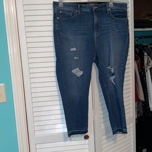 Torrid size 20 sky high crop